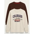 thumbnail image 1 of Wonder Nation Little Boys Long Sleeve Tees, 2 Pack, Sizes 4-10, 1 of 1