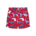 thumbnail image 1 of Wonder Nation Toddler Boy Quick Dry Swim Shorts, Sizes 12M-5T, 1 of 3