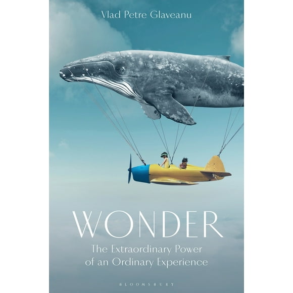Wonder: The Extraordinary Power of an Ordinary Experience (Hardcover)