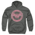 thumbnail image 1 of Wonder Woman Emblem 1 Kids Pull-Over Hoodie (Small) for Youth Boys and Girls, Charcoal, 1 of 5