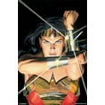 thumbnail image 1 of Wonder Woman - Portrait Laminated Poster Print (22 x 34), 1 of 1