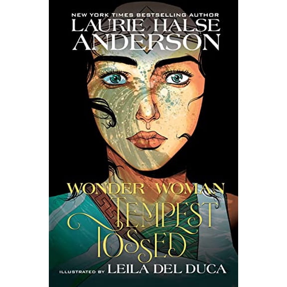 Pre-Owned Wonder Woman: Tempest Tossed (Paperback) 1401286453 9781401286453
