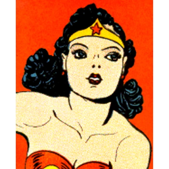Pre-Owned Wonder Woman: The Complete History (Hardcover) 0811829138 9780811829137