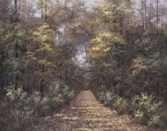 Wonder of Autumn Canvas Art - Diane Romanello (22 x 28)