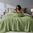 thumbnail image 1 of Wonderful Velvet 3 Piece Quilt Set 21021 Sage Green - Queen, 1 of 9