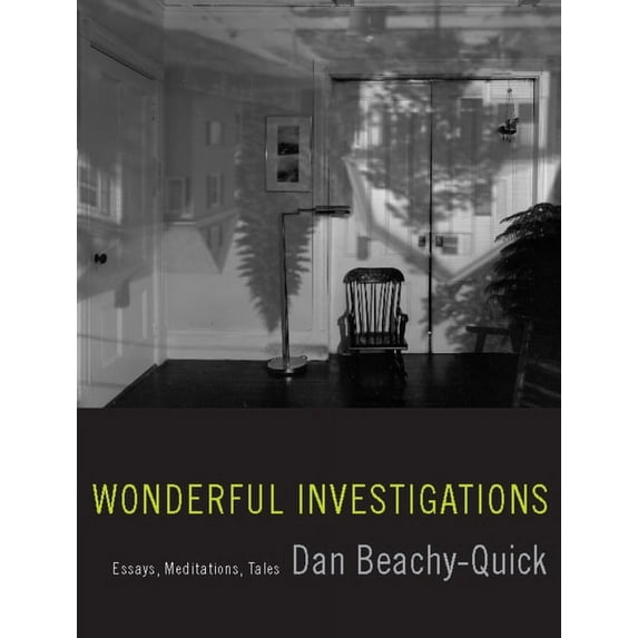 Wonderful Investigations: Essays, Meditations, Tales (Paperback)