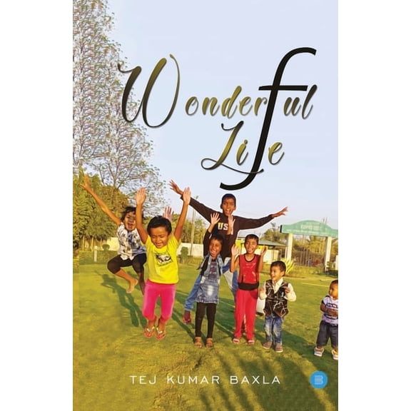 Wonderful Life, (Paperback)