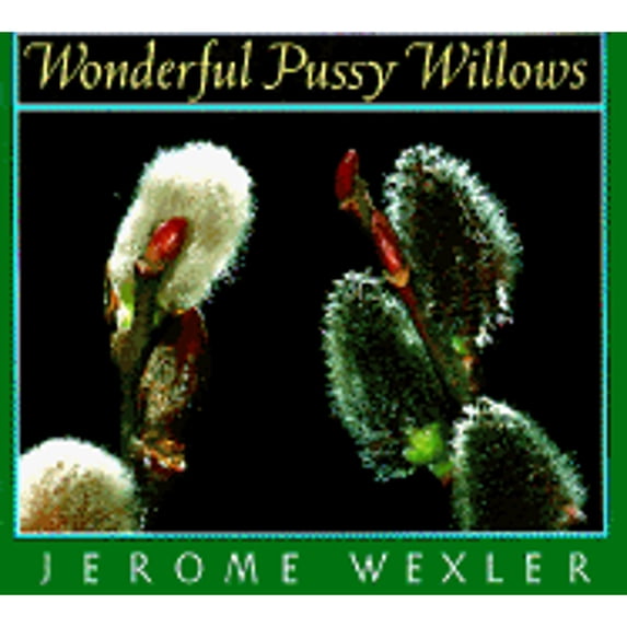 Pre-Owned Wonderful Pussy Willows (Hardcover) 0525448675 9780525448679