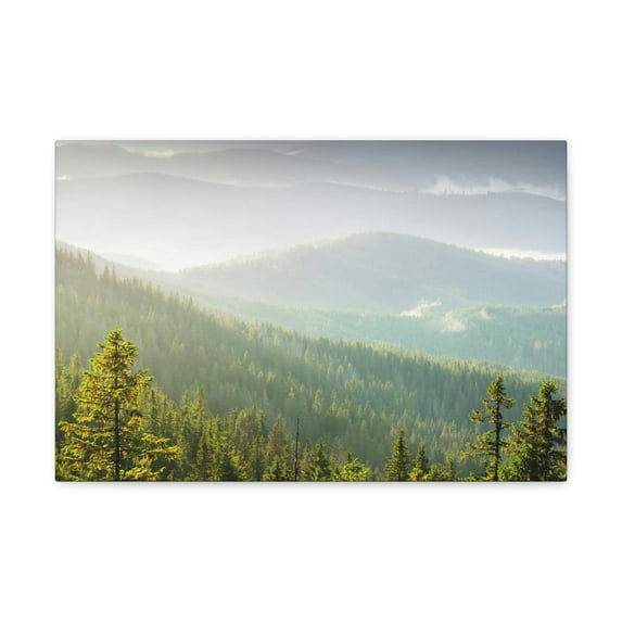 Wonderful Trees on the Mountains Scene Beautiful Spectacular and Awesome Beauty Nature Scene Big Trees and Mountain Range Wall Art Ready to Hang Unframed