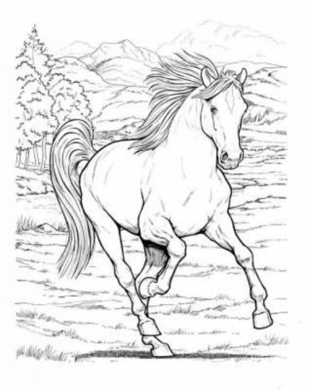 Horse Coloring Book For Boys and Girls: Ages 4-8, 9-12, 13-19 and Adults  (Paperback)