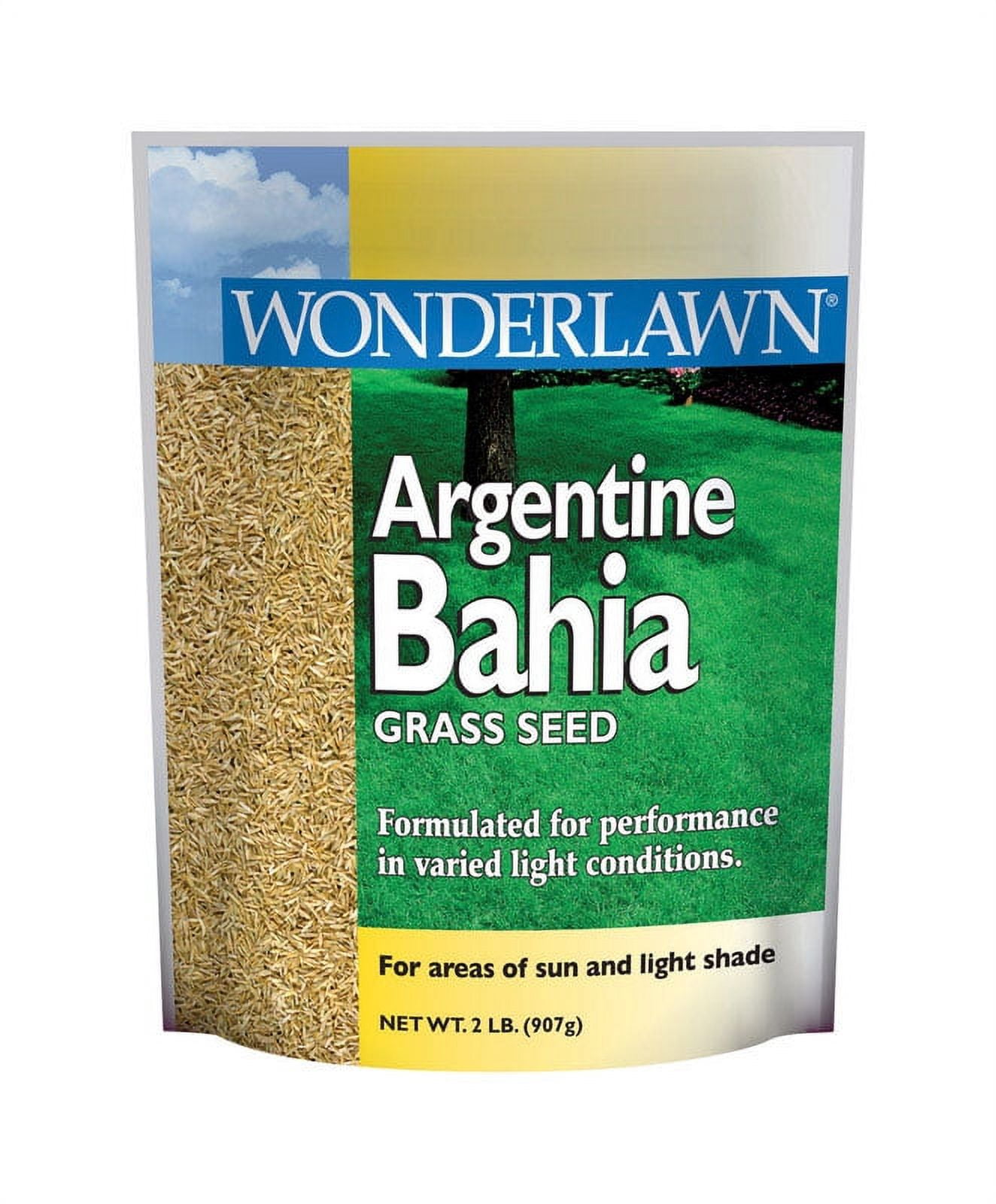 Barenbrug Argentine Bahia Grass Seed - Drought-Tolerant, Shade - Pack ...