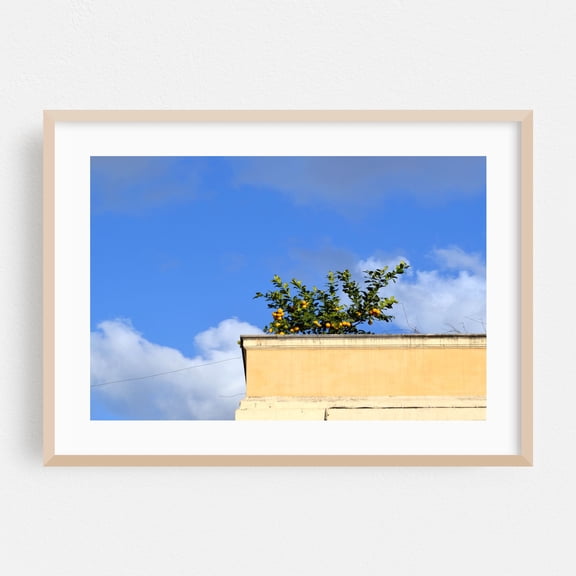 Wonders of Rome - Lazio Italy Photography Lemon Architecture Botanical Nature Skyline Minimalist Summer Oak Framed Wall Art Print 24 x 36 inches