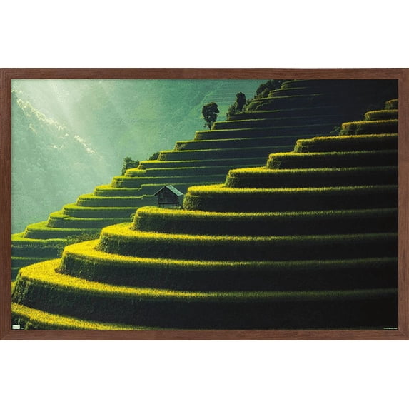 Wonders of the World - Terraced Rice Fields Wall Poster, 14.725" x 22.375", Framed