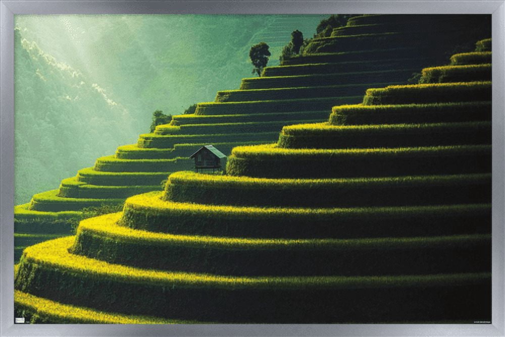 Wonders of the World - Terraced Rice Fields