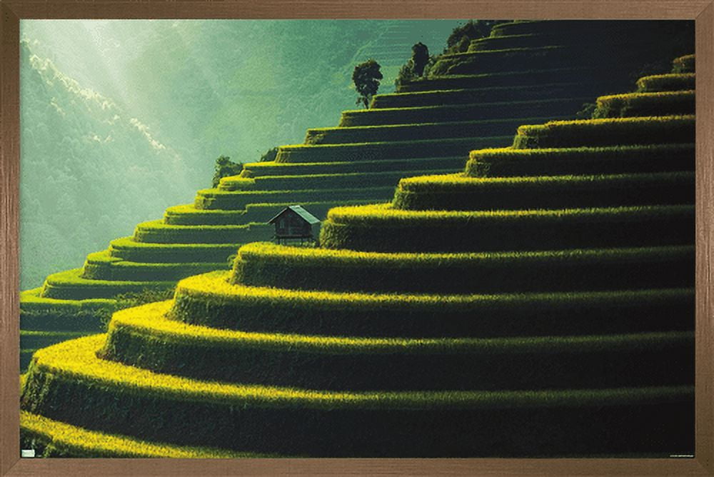 Wonders of the World - Terraced Rice Fields Wall Poster, 22.375" x 34", Framed