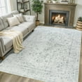 thumbnail image 1 of Wondo 5x8 Area Rug Printed Washable Rugs for Living Room Non-Slip Floor Carpet Soft Boho Vintage Rug Low Pile Water Repellent for Bedroom,Entryway,Kitchen,Indoor, Light Gray, 1 of 9