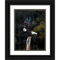 thumbnail image 1 of Wong, Fion 12x14 Black Ornate Wood Framed with Double Matting Museum Art Print Titled - Soar, 1 of 4