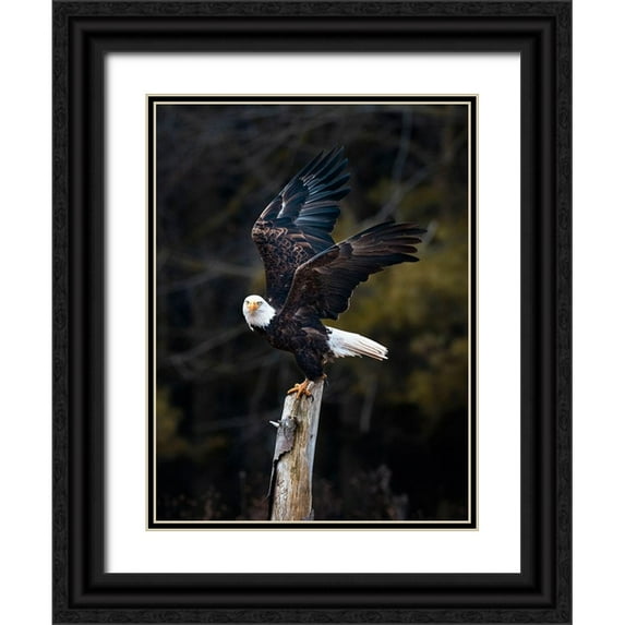 Wong, Fion 12x14 Black Ornate Wood Framed with Double Matting Museum Art Print Titled - Soar