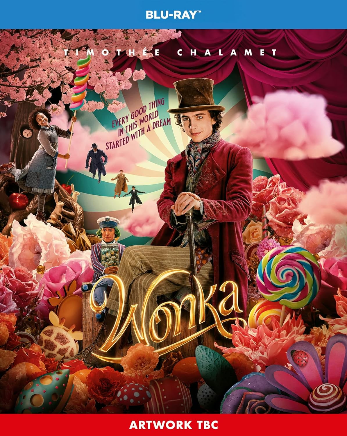 Wonka Blu-ray [2023] [2024] [Region Free]