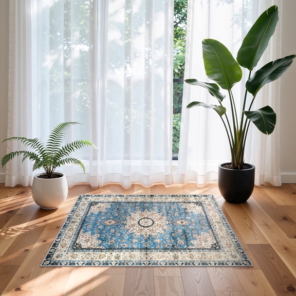 Wonnitar 2'x3' Boho Tribal Entryway Rug, Washable Kitchen Rug Indoor Door Mat Entrance Non Slip Stain Resistant Vintage Cottage Small Area Rug for Bedroom Bathroom Laundry Room, Light Blue