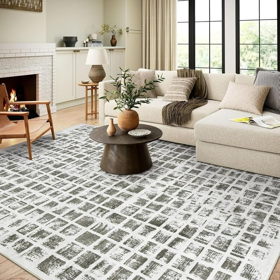 Wonnitar 8x10 Checkered Rugs for Living Room, Large Soft Washable Bedroom Rug, Non Slip Ultra-Thin Modern Carpet for Guest Room Office Indoor