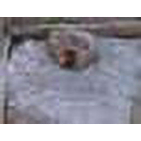 Wood Ash - Chicken Bath - 1 Gallon