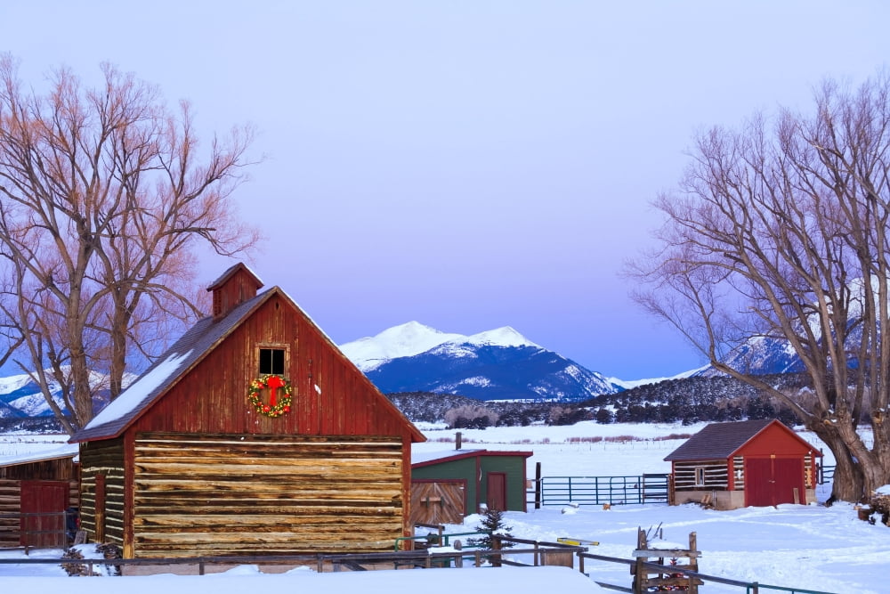 Wood Barn WLighted Holiday Wreath & Christmas Tree On Farm Dusk Arkansas Valley Colorado Winter Canvas Art - Michael DeYoung Design Pics (34 x 22)