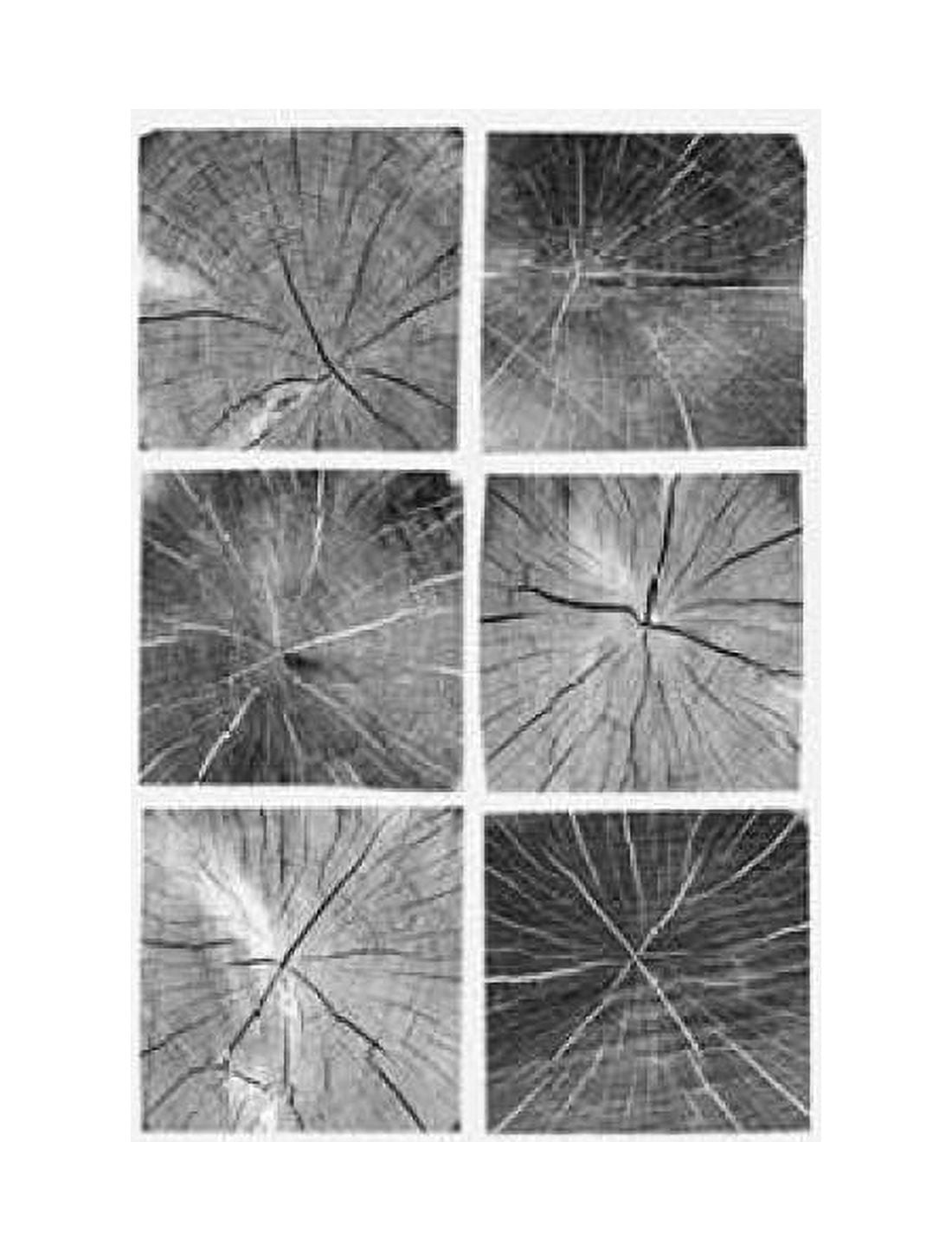 Wood Block Squares Canvas Art - Sam Appleman (22 x 28)