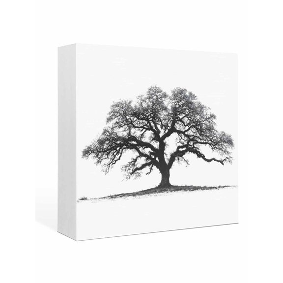 Wood Box Sign Oak Tree Forest Square Boxes Sgin Desk Decor Decorative Wood Block Plaque Black Deep Roots Wide Branches Wooden Signs for Home Tabletop Shelf Wall Office Room Table Decor Gifts 6"x6"