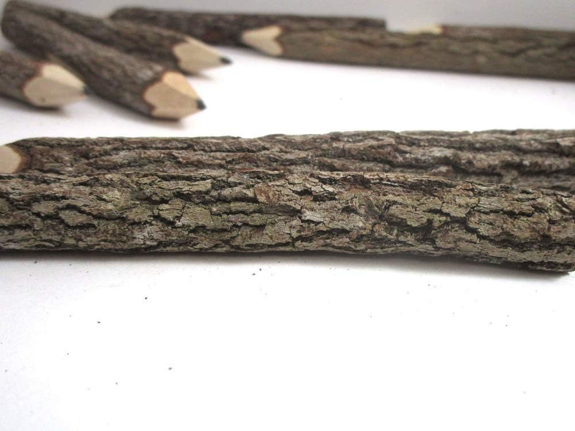 Wood Branch And Twig Pencils Graphite 5 Inches 12 Pack