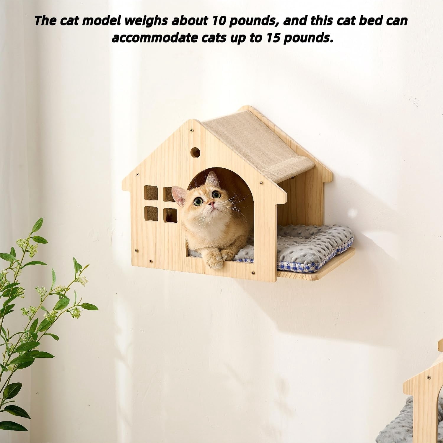 Wood Cat Wall Shelves Bed  2-pack Wall-mounted Box Condo House Perch Furniture With Washable Pillow Cushions