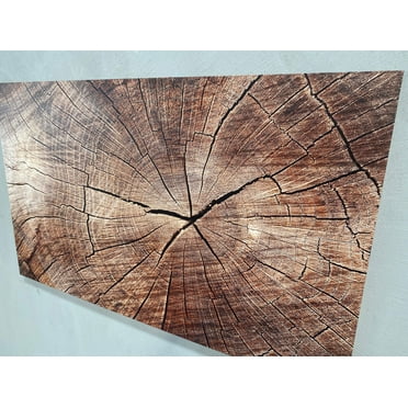 Wood Crack Art Canvas, Trendy Canvas Art, Contemporary Wall Decor, Tree Ring Printed Canvas, Brown Canvas Art, Abstract Art, Nature Printed, Canvas Wall Decor - Rolled Canvas
