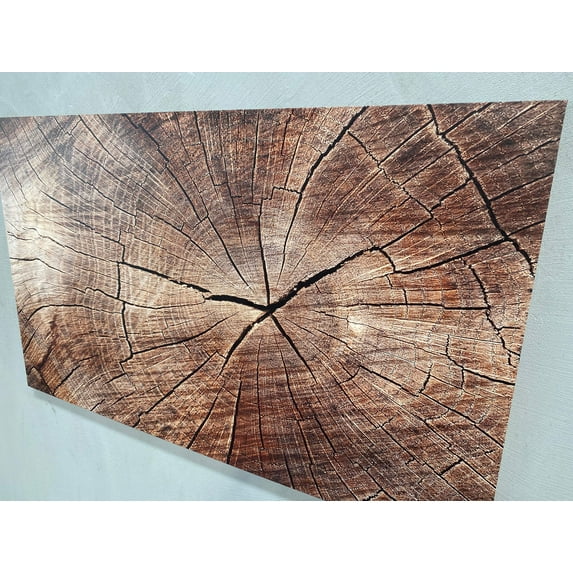Wood Crack Art Canvas, Trendy Canvas Art, Contemporary Wall Decor, Tree Ring Printed Canvas, Brown Canvas Art, Abstract Art, Nature Printed, Canvas Wall Decor - Natural Framed