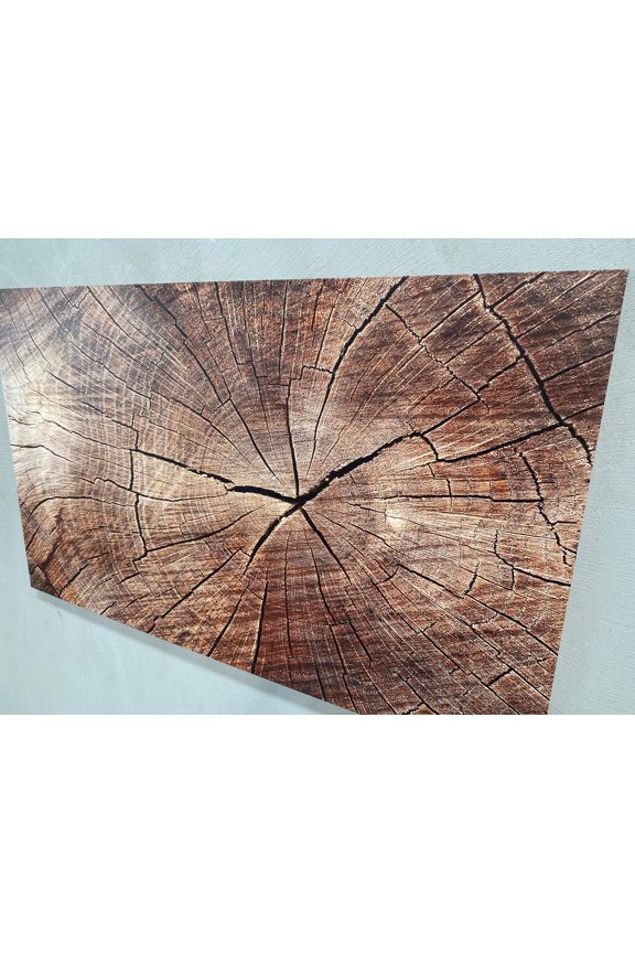 Wood Crack Art Canvas, Trendy Canvas Art, Contemporary Wall Decor, Tree Ring Printed Canvas, Brown Canvas Art, Abstract Art, Nature Printed, Canvas Wall Decor - Rolled Canvas