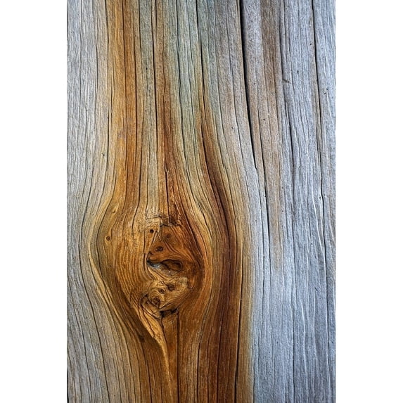 Wood Details III Poster Print by Kathy Mahan-VARPDXPSMHN911