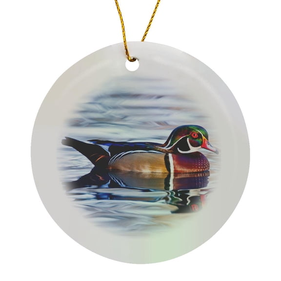 3drose, Wood Duck, Aix Sponsa, Male Swimming, Texas, Usa, Circle Porcelain Ornament