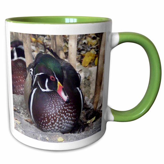 3drose, Wood Duck Male, 15oz Two-tone Green Mug