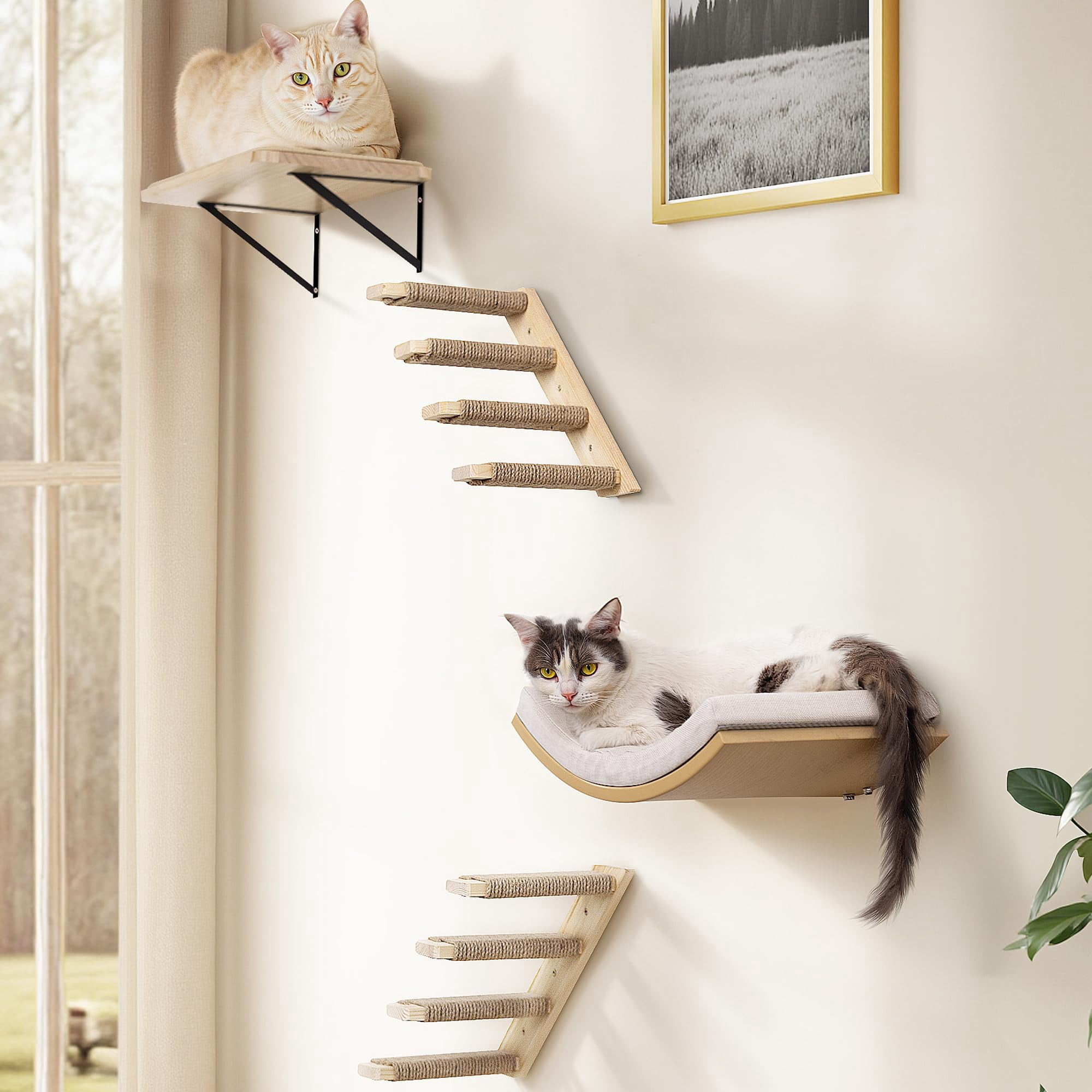 Wood Foam Curved Combo A (4 Pieces) Cat Perch Wall Mounted Furniture Set
