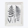 thumbnail image 1 of Wood Framed Botanical Wall Art, 1 of 1