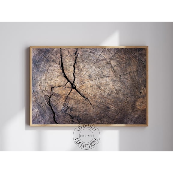 Wood Grain Wall Art • Tree Ring Print • Rustic Neutral Decor • Organic Texture Artwork