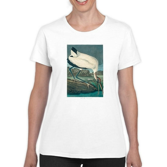 Wood Ibis. T-Shirt Women -John James Audubon Designs, Female XX-Large