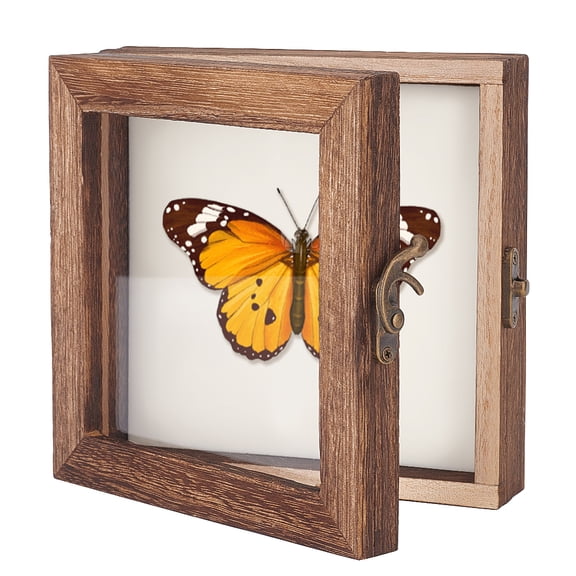 Wood Jewelry Presentation Boxes with White EVA Foam Mat Inside Flap Cover Insect Specimen Display Case with Visible Acrylic Window Square diy