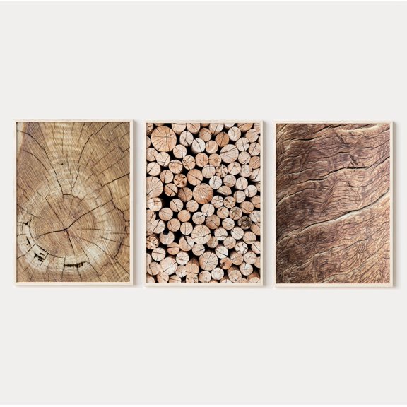 Wood Log Pile Farm Rustic Wall Art Tree Rings Photography Set 3 Stretched Canvas 12x18