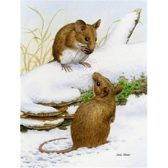 Wood Mice Wood Mouse Flag Garden Size
