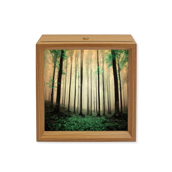 Wood Night Light Box Autumn Maple Forest Wooden LED Night Lights with USB Rechargeable Dimmable Touch Square Table Light Turquoise Misty Forest Trees Wood Picture Frame Lamp for Desktop Display