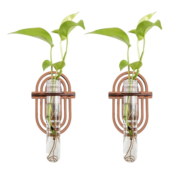 Wood Plant Propagation Station Wall Hanging Terrarium for Hydroponics Plant