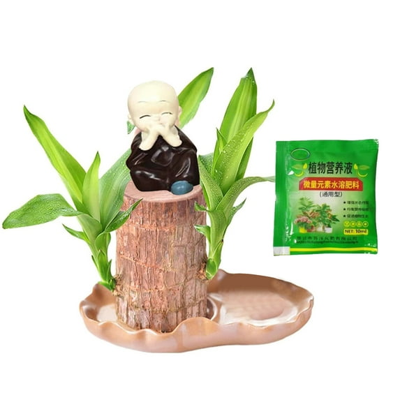 Wood Set, Brazilian Wood with Panda Statue, Brazilian Wood Hydroponic , Brazilian Tree, Mini Brazil Wood Decorations for Pots with Nutrient Solution