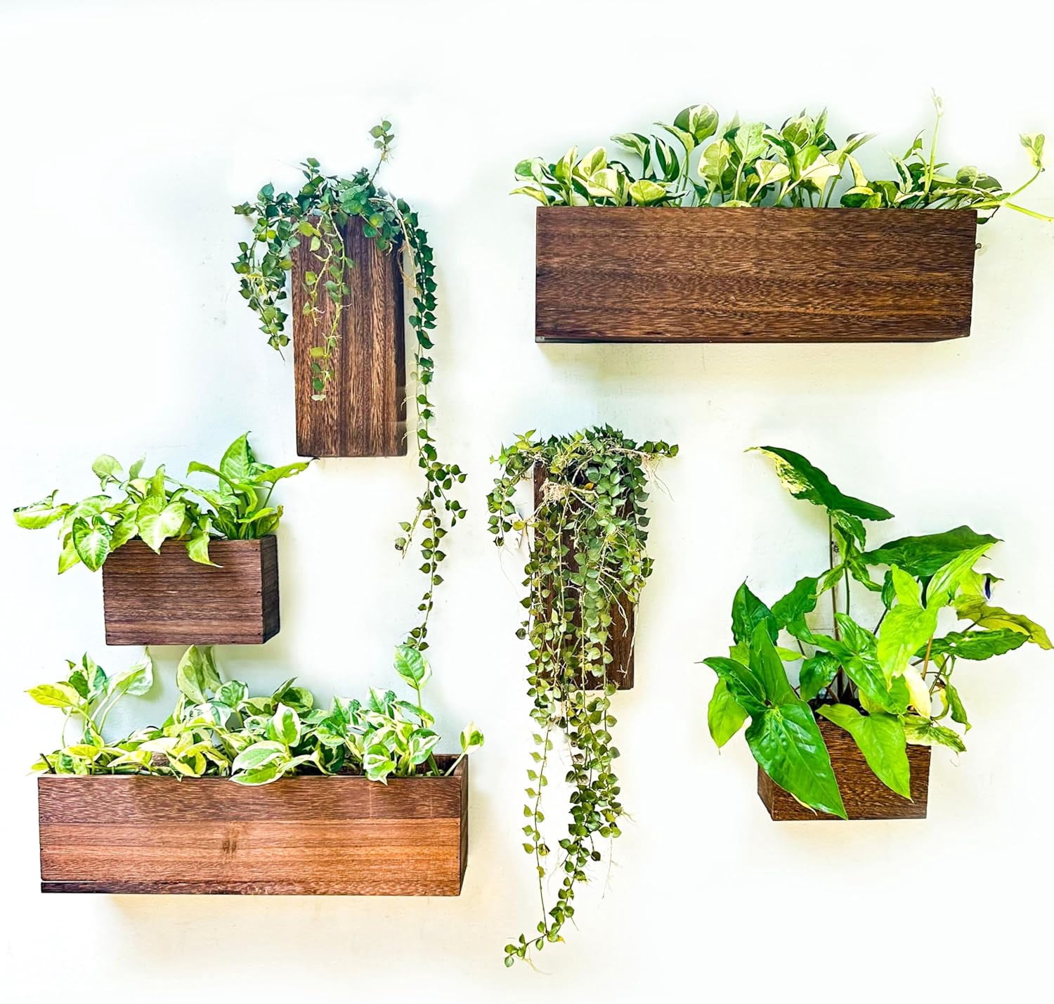 Wood Planter Box for Plants (6 Pack) Wooden Hanging Wall Planters for ...