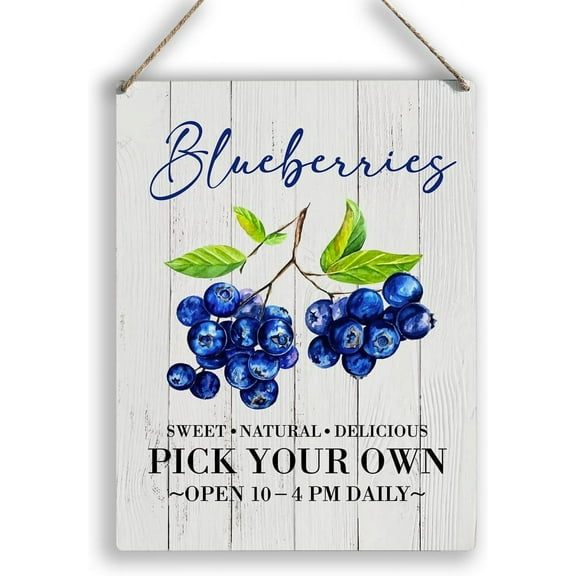 Wood Sign 8x12 Inch Blueberries Wooden Rustic Signs Home Wall Decor Country Summer Blueberry Wood Sign Plaque Hanging Sign Home Kitchen Decor Gift For Women Men