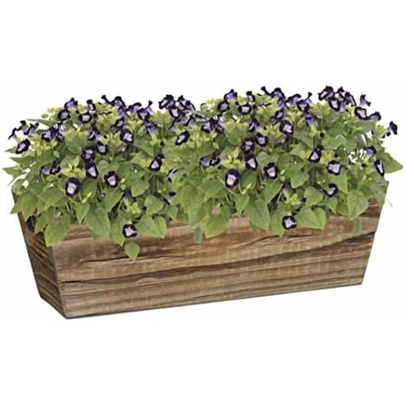 Wood Window Box - Handled Buffalo Brown